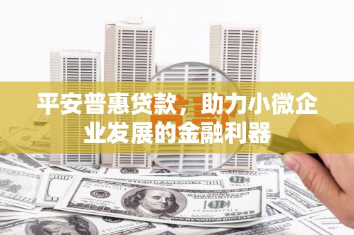 漯河平安普惠贷款，助力小微企业发展的金融利器