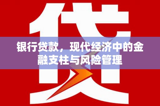 漯河银行贷款，现代经济中的金融支柱与风险管理