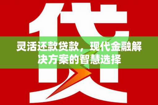 漯河灵活还款贷款，现代金融解决方案的智慧选择