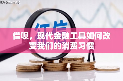 漯河借呗，现代金融工具如何改变我们的消费习惯