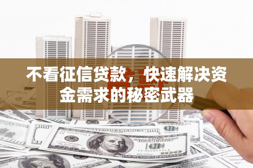 漯河不看征信贷款，快速解决资金需求的秘密武器