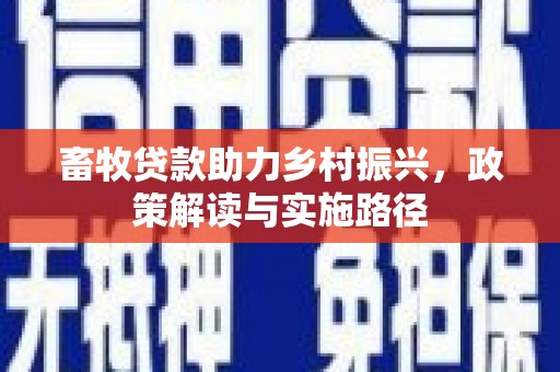 漯河畜牧贷款助力乡村振兴，政策解读与实施路径