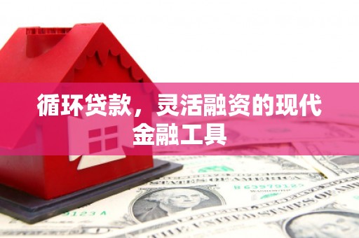 漯河循环贷款，灵活融资的现代金融工具