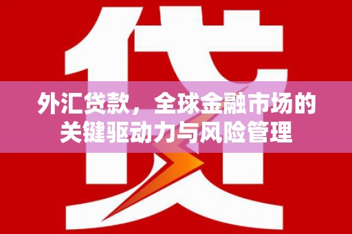 漯河外汇贷款，全球金融市场的关键驱动力与风险管理