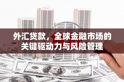 漯河外汇贷款，全球金融市场的关键驱动力与风险管理