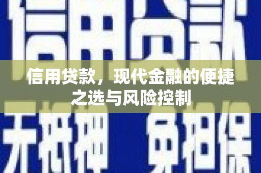 漯河信用贷款，现代金融的便捷之选与风险控制