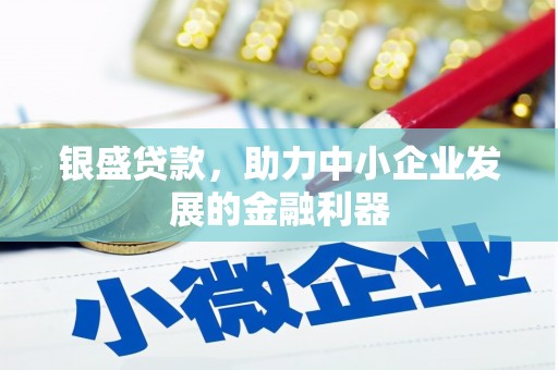 漯河银盛贷款，助力中小企业发展的金融利器