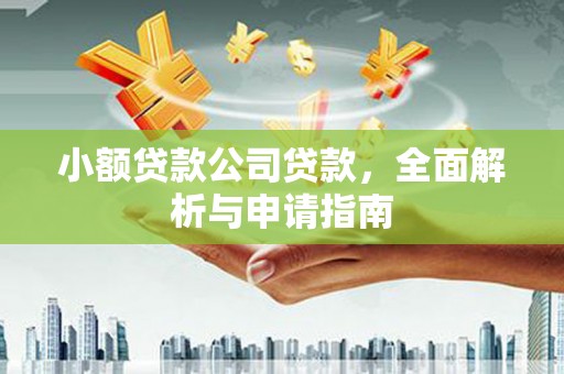 漯河小额贷款公司贷款，全面解析与申请指南