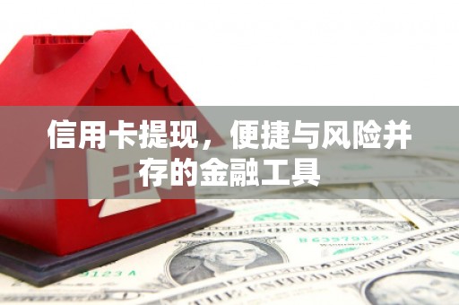 漯河信用卡提现，便捷与风险并存的金融工具