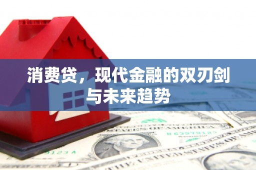 漯河消费贷，现代金融的双刃剑与未来趋势