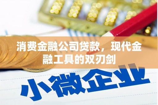 漯河消费金融公司贷款，现代金融工具的双刃剑