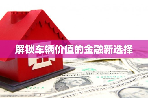 漯河解锁车辆价值的金融新选择
