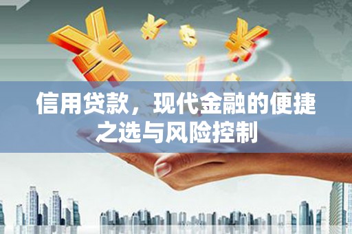 漯河信用贷款，现代金融的便捷之选与风险控制