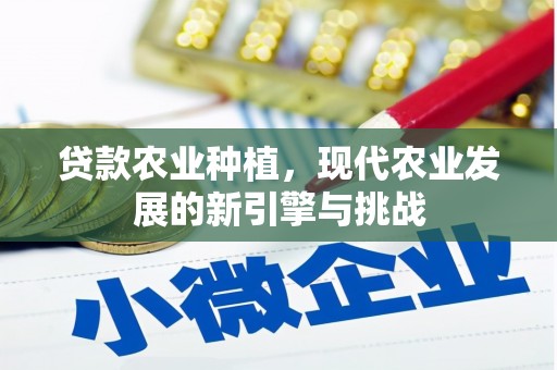 漯河贷款农业种植，现代农业发展的新引擎与挑战