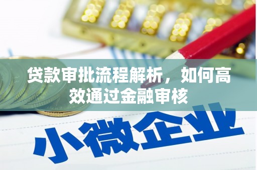 漯河贷款审批流程解析，如何高效通过金融审核