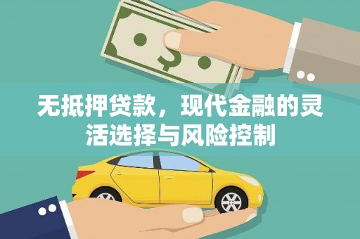 漯河无抵押贷款，现代金融的灵活选择与风险控制