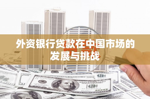 漯河外资银行贷款在中国市场的发展与挑战