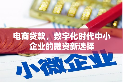 漯河电商贷款，数字化时代中小企业的融资新选择