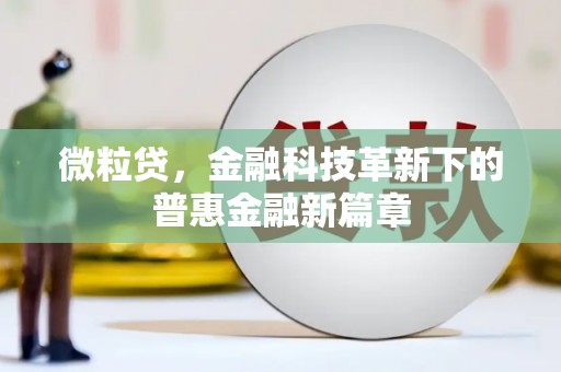 漯河微粒贷，金融科技革新下的普惠金融新篇章