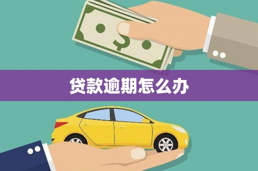 漯河贷款逾期怎么办