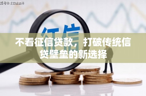 漯河不看征信贷款，打破传统信贷壁垒的新选择