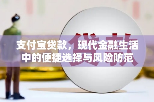漯河支付宝贷款，现代金融生活中的便捷选择与风险防范