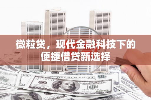 漯河微粒贷，现代金融科技下的便捷借贷新选择