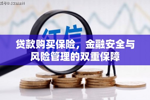 漯河贷款购买保险，金融安全与风险管理的双重保障