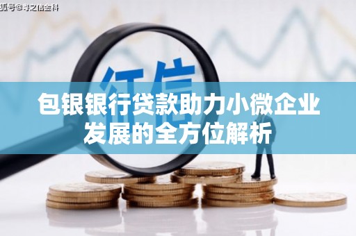 漯河包银银行贷款助力小微企业发展的全方位解析