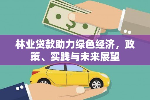 漯河林业贷款助力绿色经济，政策、实践与未来展望