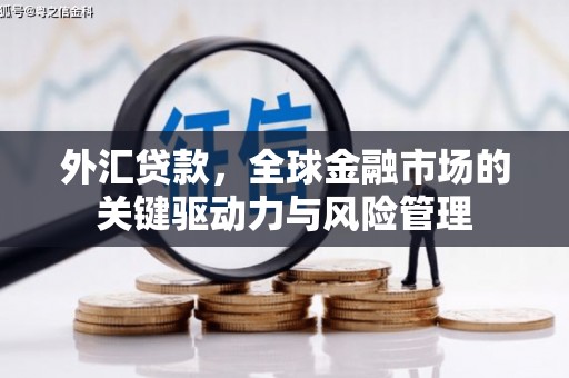 漯河外汇贷款，全球金融市场的关键驱动力与风险管理