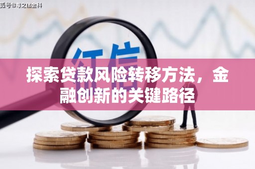 漯河探索贷款风险转移方法，金融创新的关键路径