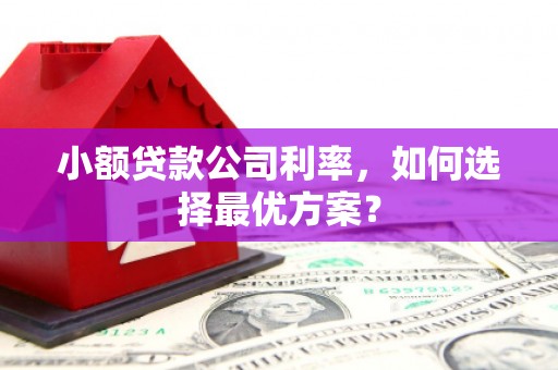 漯河小额贷款公司利率，如何选择最优方案？