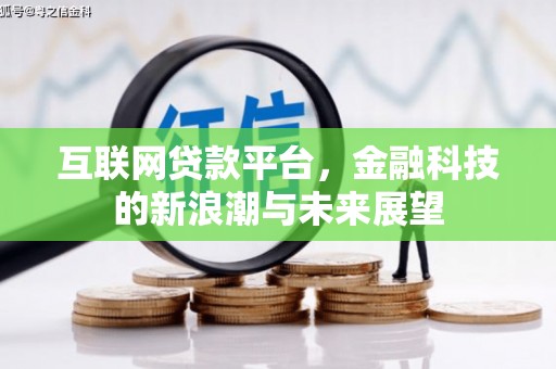 漯河互联网贷款平台，金融科技的新浪潮与未来展望