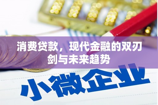 漯河消费贷款，现代金融的双刃剑与未来趋势