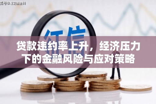 漯河贷款违约率上升，经济压力下的金融风险与应对策略