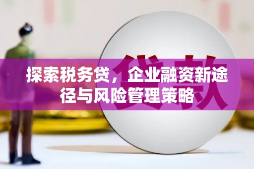 漯河探索税务贷，企业融资新途径与风险管理策略