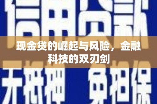 漯河现金贷的崛起与风险，金融科技的双刃剑