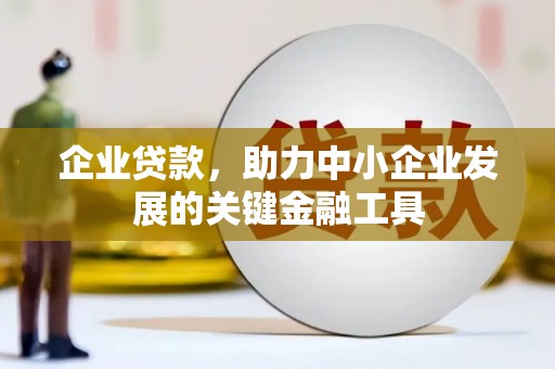 漯河企业贷款，助力中小企业发展的关键金融工具