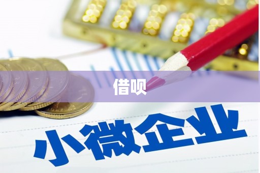 漯河借呗