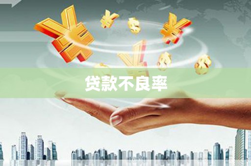 漯河贷款不良率