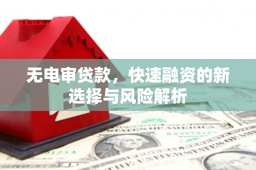 漯河无电审贷款，快速融资的新选择与风险解析