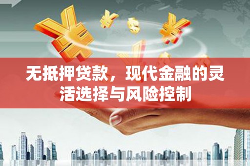 漯河无抵押贷款，现代金融的灵活选择与风险控制