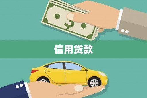 漯河信用贷款