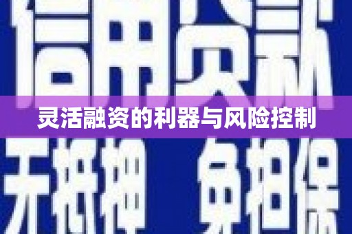 漯河灵活融资的利器与风险控制
