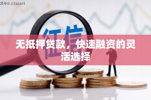 漯河无抵押贷款，快速融资的灵活选择