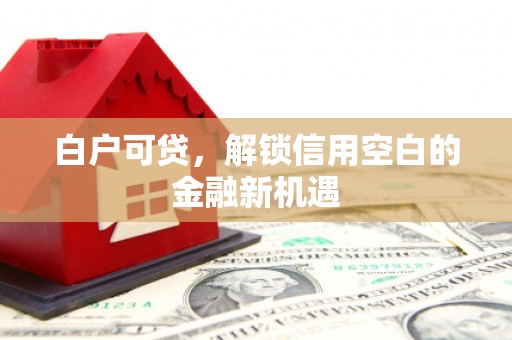 漯河白户可贷，解锁信用空白的金融新机遇