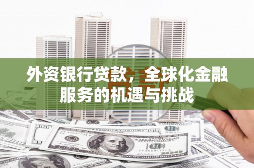 漯河外资银行贷款，全球化金融服务的机遇与挑战