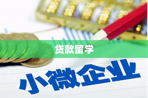 漯河贷款留学