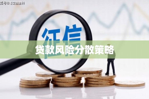 漯河贷款风险分散策略